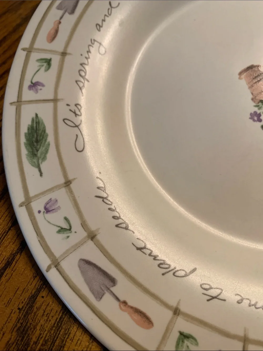 Pfaltzgraff Single Salad Plate. Perennials Pattern